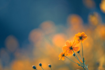 北京新增5例本土确诊含两名学生(北京新增5人)