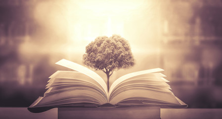 【云南新增3例本土确诊,云南新增3名本土确诊均在姐告】