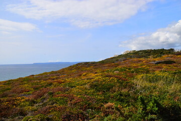 哈尔滨疫情最新报道/哈尔滨疫情最新数据消息新增