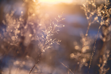 武昌理工学院学院怎么样(武昌理工学院好嘛)