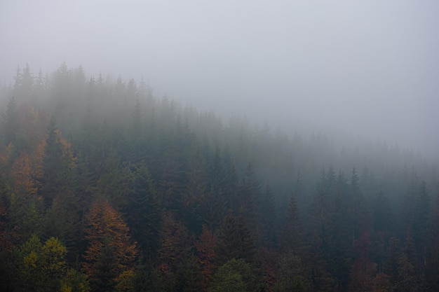 31省本土新增17例/31省新增本土135例